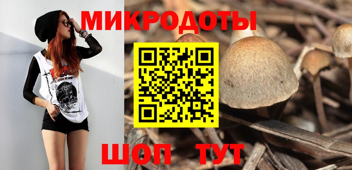 наркотики  Галлюциногенные грибы Psilocybine cubensis  Вход с VPN  Аргун  Псилоцибиновые грибы Psilocybe 